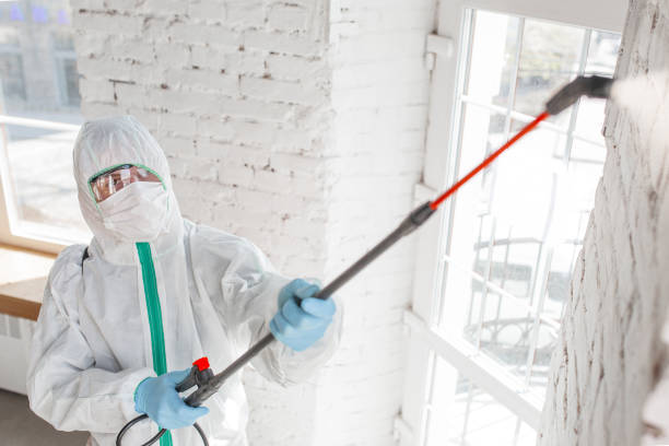 Best Comprehensive Air Testing for Mold Contaminants  in Meeker, CO