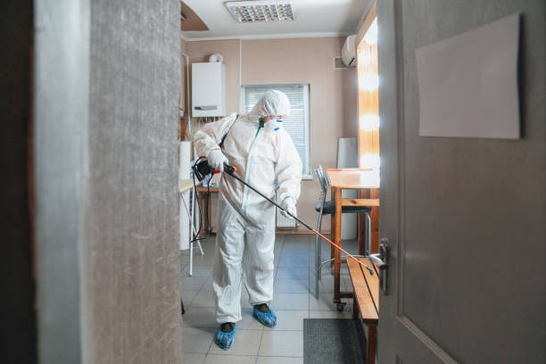 Best Mold Remediation for Healthcare Facilities  in Meeker, CO