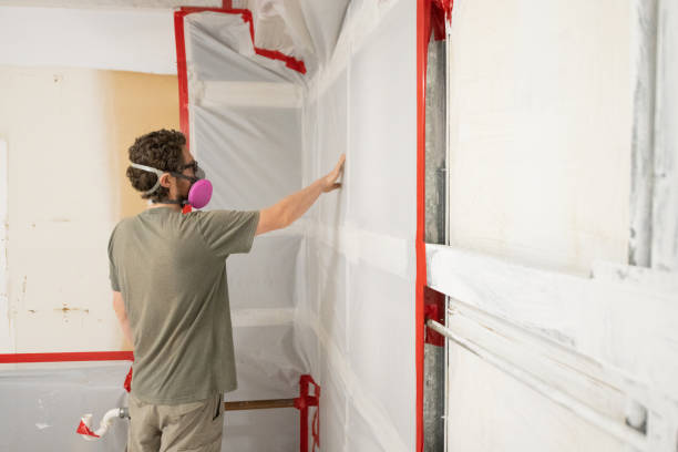 Best Commercial Mold Inspection  in Meeker, CO