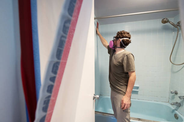 Best Air Quality Testing for Mold Spores  in Meeker, CO