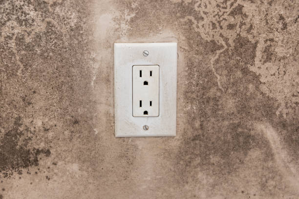 Mold Remediation for Rental Properties in Meeker, CO